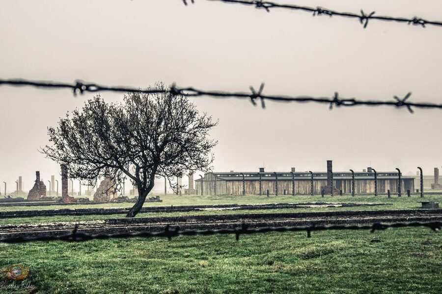 Auschwitz-Birkenau: Skip-the-Line Entry Ticket & Guided Tour - The original barracks and museum rooms