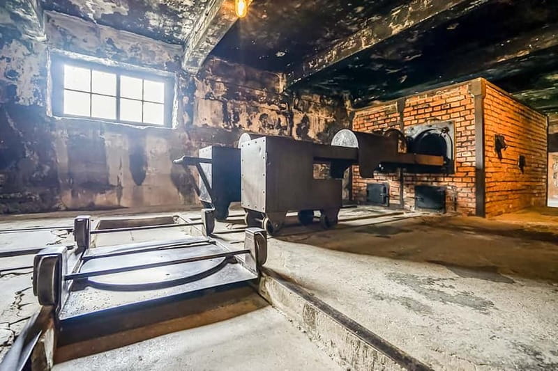 Auschwitz-Birkenau Skip-the-Line Guided Tour - Key points to know before booking