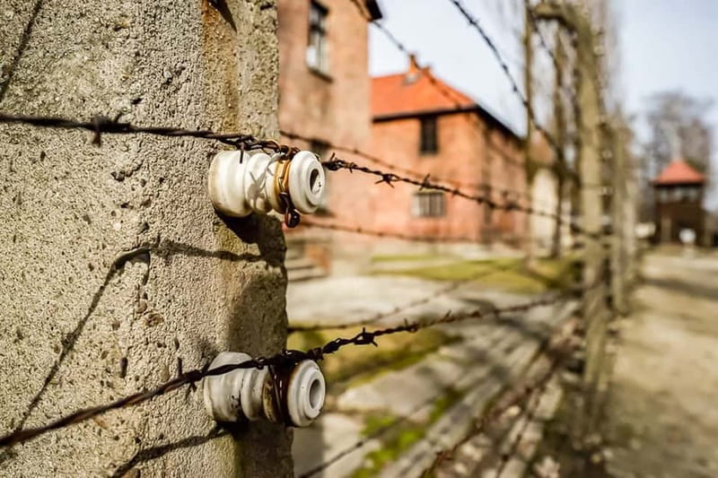 Auschwitz-Birkenau Skip-the-Line Guided Tour - Timing, group pace, and the real schedule