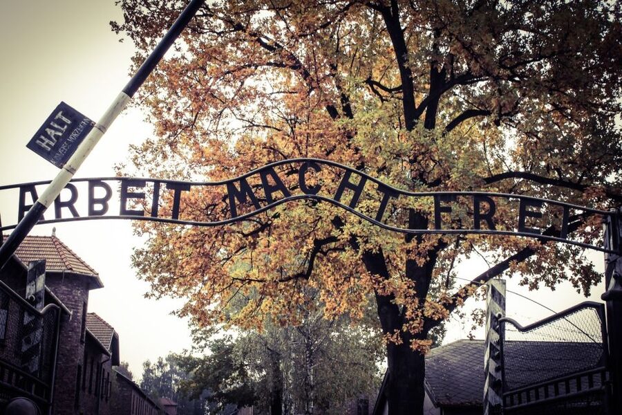 Auschwitz-Birkenau Tour from Katowice with Private Transfers - Key Points to Know Before You Go