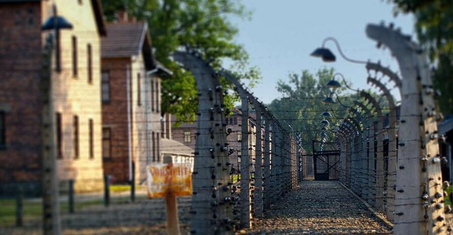 Auschwitz-Birkenau Tour from Katowice with Private Transfers - Why This Katowice Tour Makes Sense