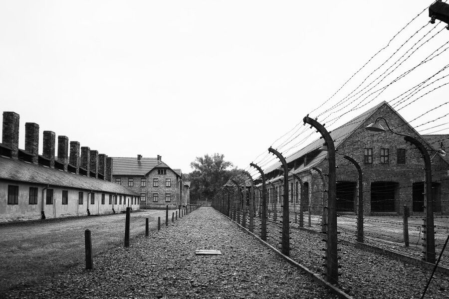 Auschwitz-Birkenau Tour from Katowice with Private Transfers - Birkenau and the Scale of the Extermination Center