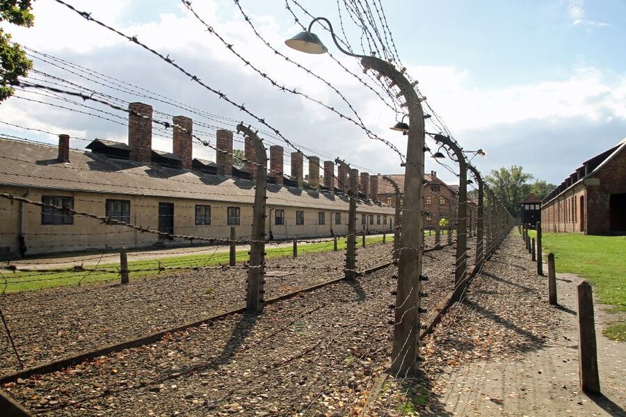 Auschwitz-Birkenau Tour from Katowice with Private Transfers - Price, Group Size, and What You Receive
