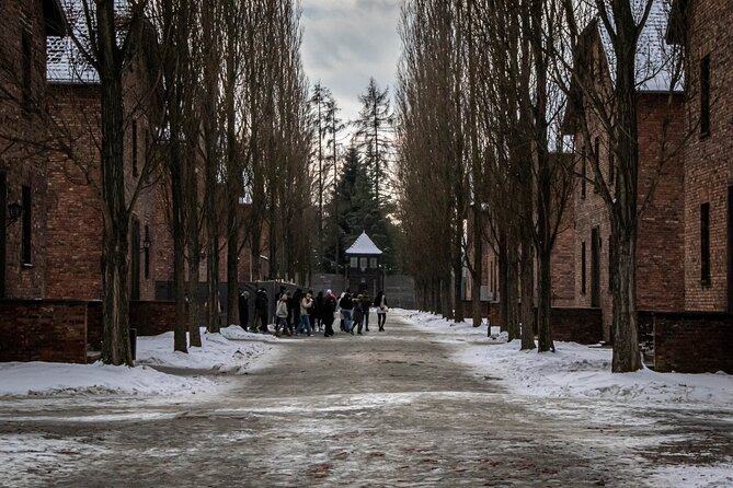 Auschwitz Birkenau Tour from Krakow: Private Transfer + Ticket - The 90-Minute Ride From Krakow