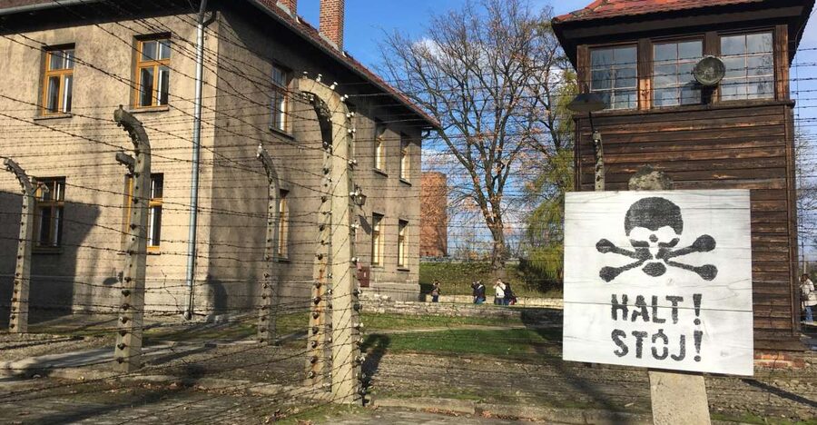 Auschwitz-Birkenau Tour from Wroclaw - Practical advice for a smoother day