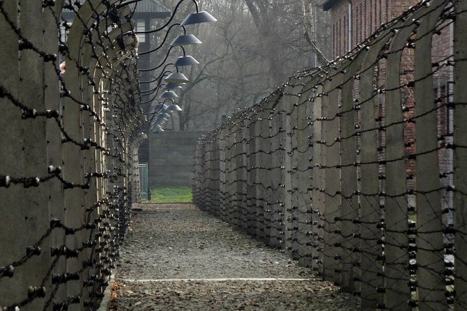 Auschwitz-Birkenau Tour from Wroclaw - Why this visit matters