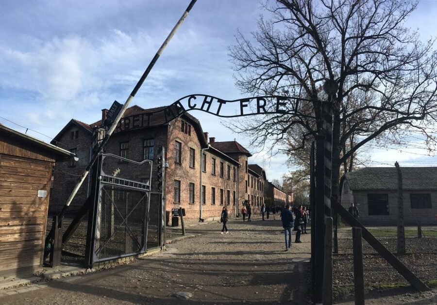 Auschwitz-Birkenau Tour from Wroclaw - Auschwitz II-Birkenau and the wider camp system