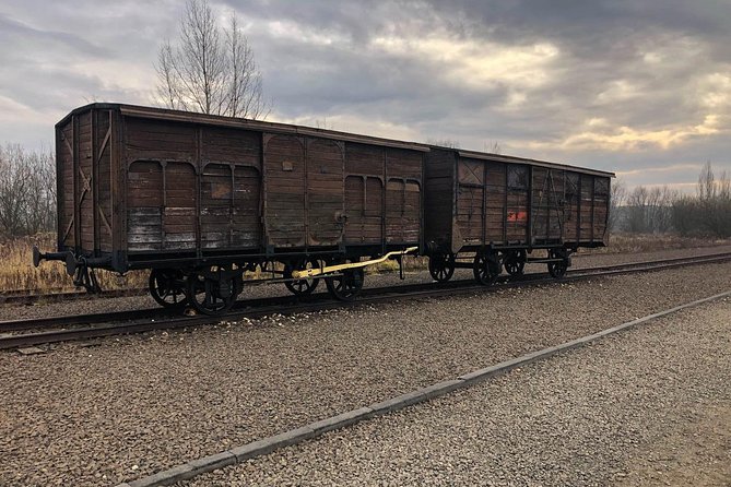 Auschwitz Birkenau Tour with Private Transport from Kraków - Birkenau: scale, distance, and silence