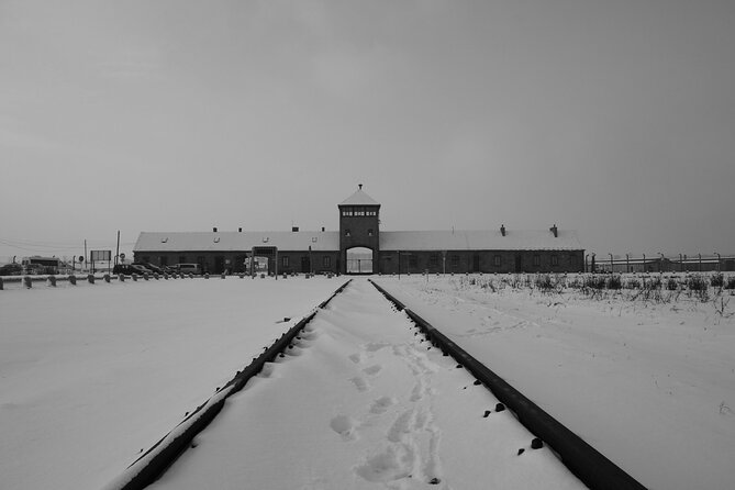 Auschwitz Birkenau Transfer and Guide with Salt Mine Combo Option - Birkenau: scale, silence, and open ground