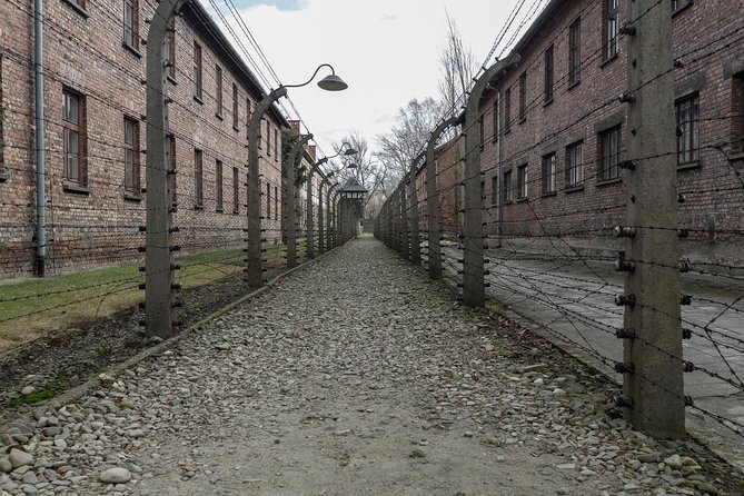 Auschwitz-Birkenau & Wieliczka in one day (Guided tour) - Transport, guides, and the rhythm of the day