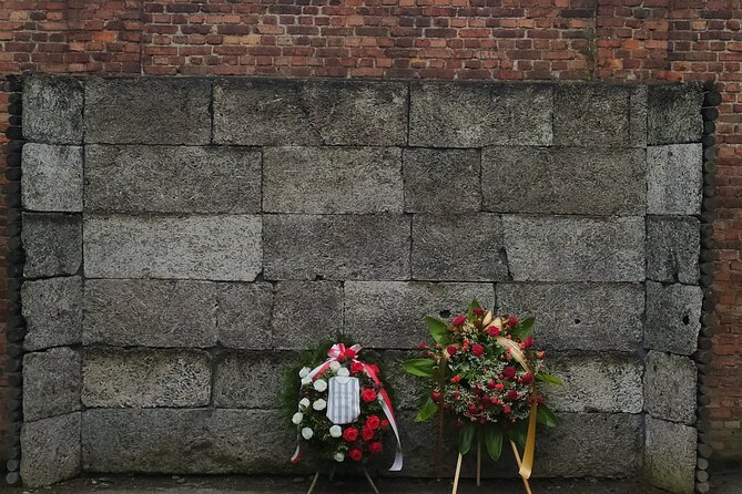 Auschwitz Museum and Salt Mine Tour with Private Transport - How good is the private transport?