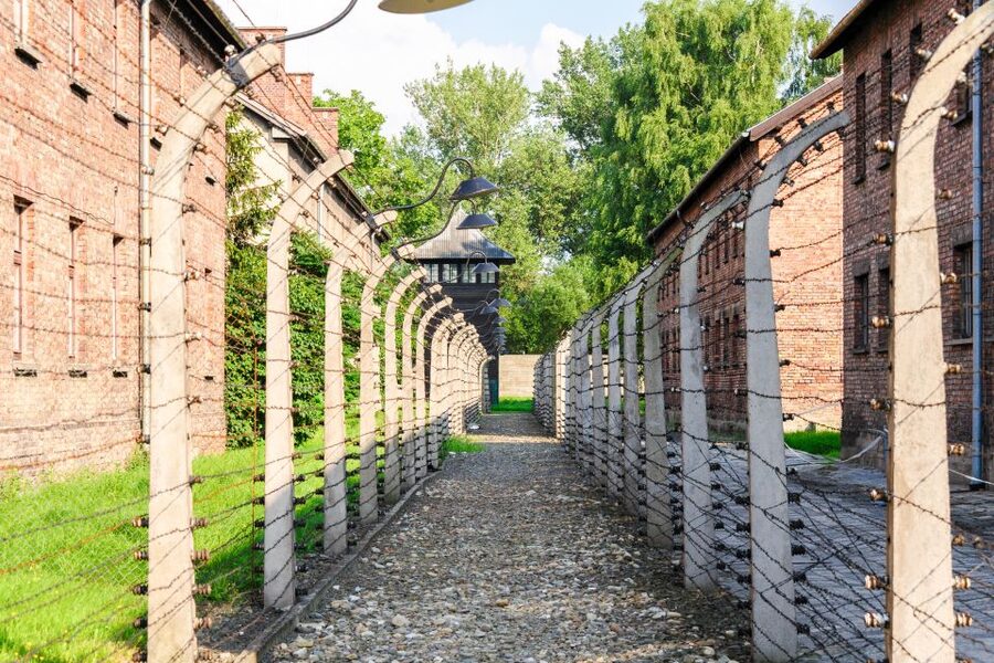 Auschwitz Ticket and Full-Day Tour from Krakow - The Short Transfer to Birkenau