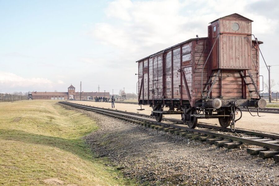 Auschwitz Ticket and Full-Day Tour from Krakow - Transport, Timing, and Organization