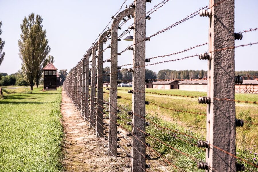 Auschwitz Ticket and Full-Day Tour from Krakow - Is the $96 Price Good Value?