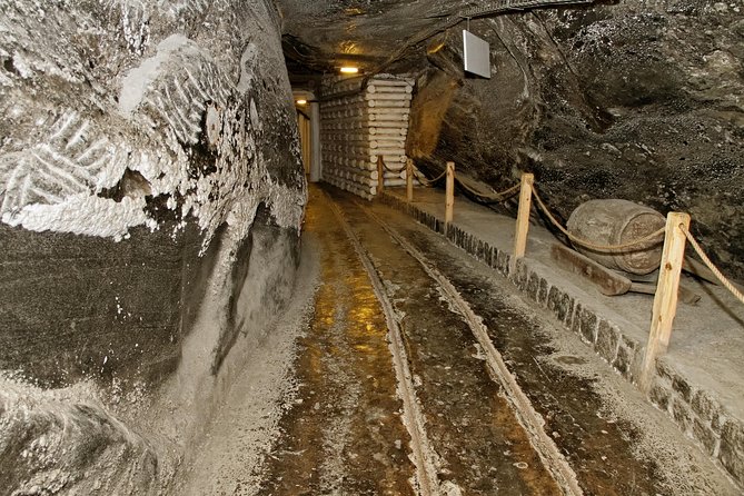 Auschwitz & Wieliczka ONE DAY Guided Tour +Private Transportation - What private transport really means here