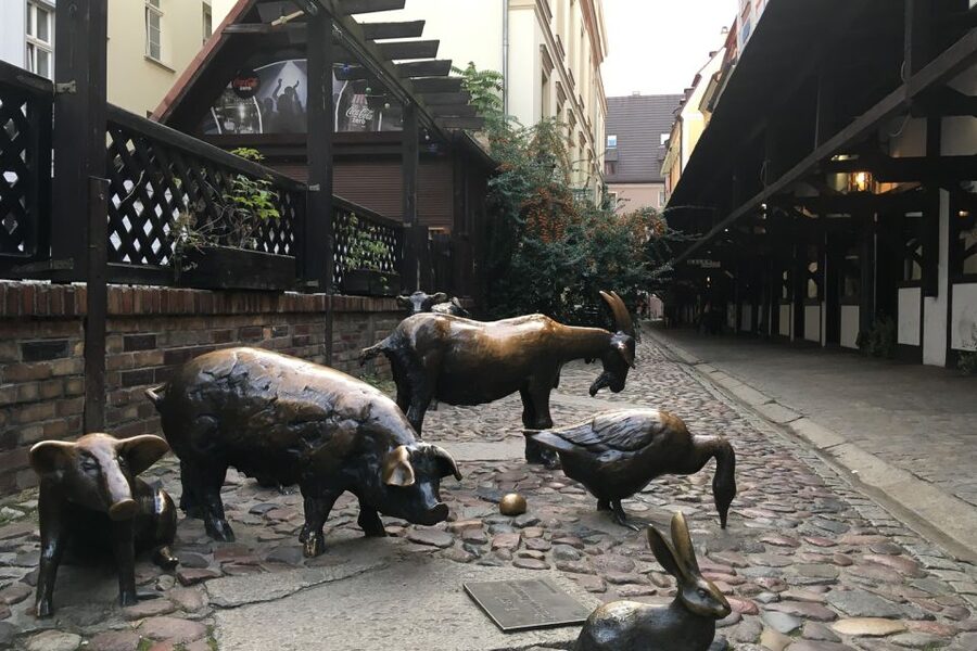 Best of Wroclaw 3-Hour History and Culture Walking Tour - Choosing the included interior visit