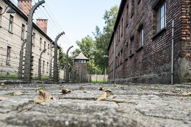 Combined: Auschwitz Birkenau and Salt Mine private chauffeur from Krakow - Starting from your Krakow hotel