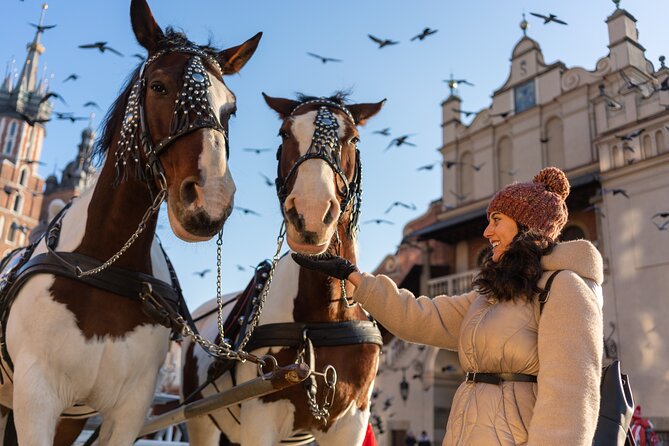 Czartoryski Palace Museum Tickets and Krakow Old Town Tour - Key Points at a Glance