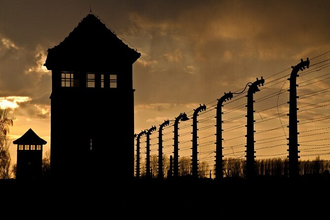 Exclusive Small Group Auschwitz-Birkenau Guided Tour from Krakow - Birkenau and the scale of the camp
