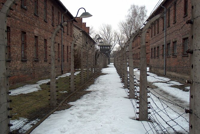 Exclusive Small Group Auschwitz-Birkenau Guided Tour from Krakow - Tickets, identification, and clothing