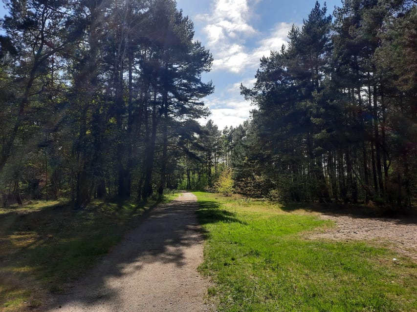 Explore Sobieszewo Island: Nature Walk & Wildlife Tour - Key points at a glance