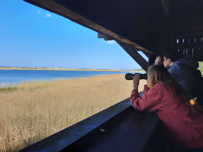 Explore Sobieszewo Island: Nature Walk & Wildlife Tour - Who will enjoy this nature walk most