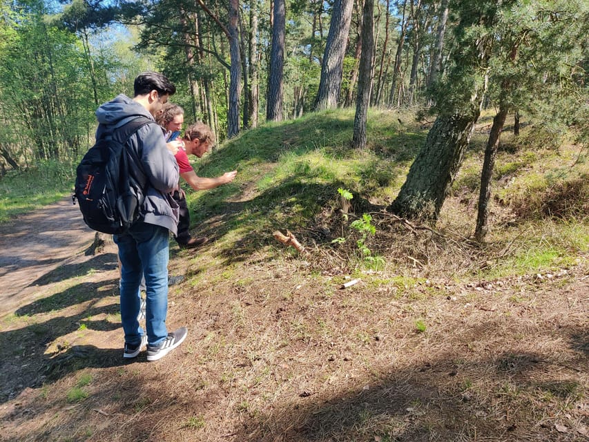 Explore Sobieszewo Island: Nature Walk & Wildlife Tour - A slower way to see Sobieszewo Island