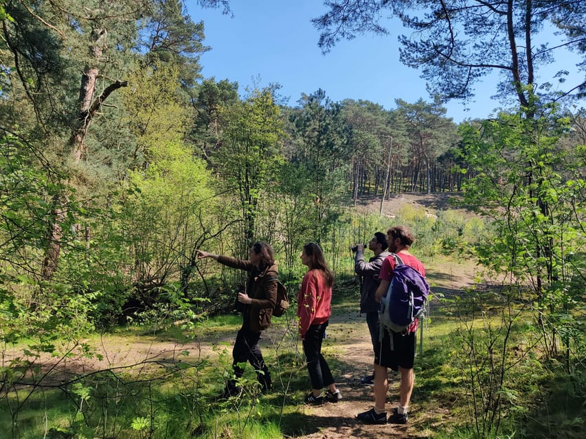 Explore Sobieszewo Island: Nature Walk & Wildlife Tour - The first guided walk: 30 minutes of views and wildlife