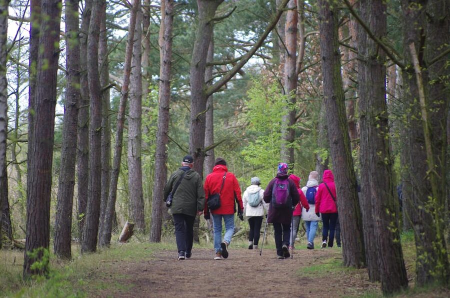 Explore Sobieszewo Island: Nature Walk & Wildlife Tour - A 40-minute photo stop among the reserve paths