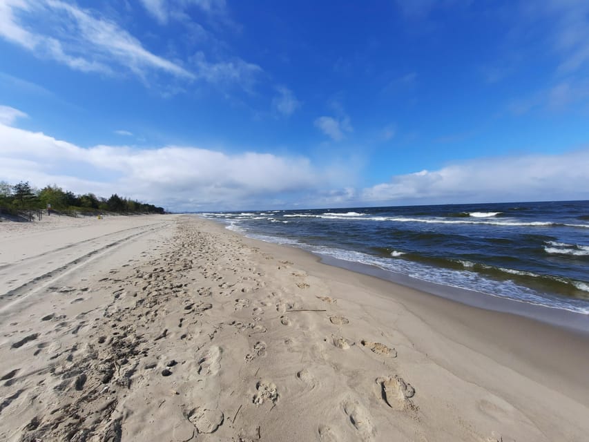 Explore Sobieszewo Island: Nature Walk & Wildlife Tour - The 15-minute picnic pause