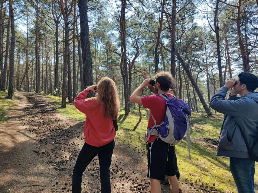 Explore Sobieszewo Island: Nature Walk & Wildlife Tour - Another 35 minutes for wildlife and scenic views