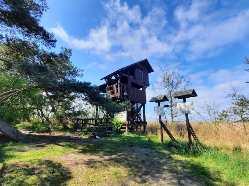 Explore Sobieszewo Island: Nature Walk & Wildlife Tour - The final 10-minute free period