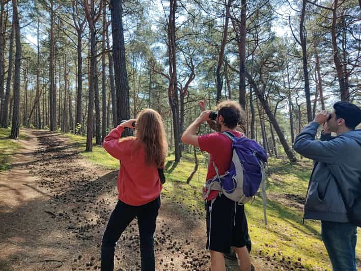 Explore Sobieszewo Island: Nature Walk & Wildlife Tour - What the $114 price really covers