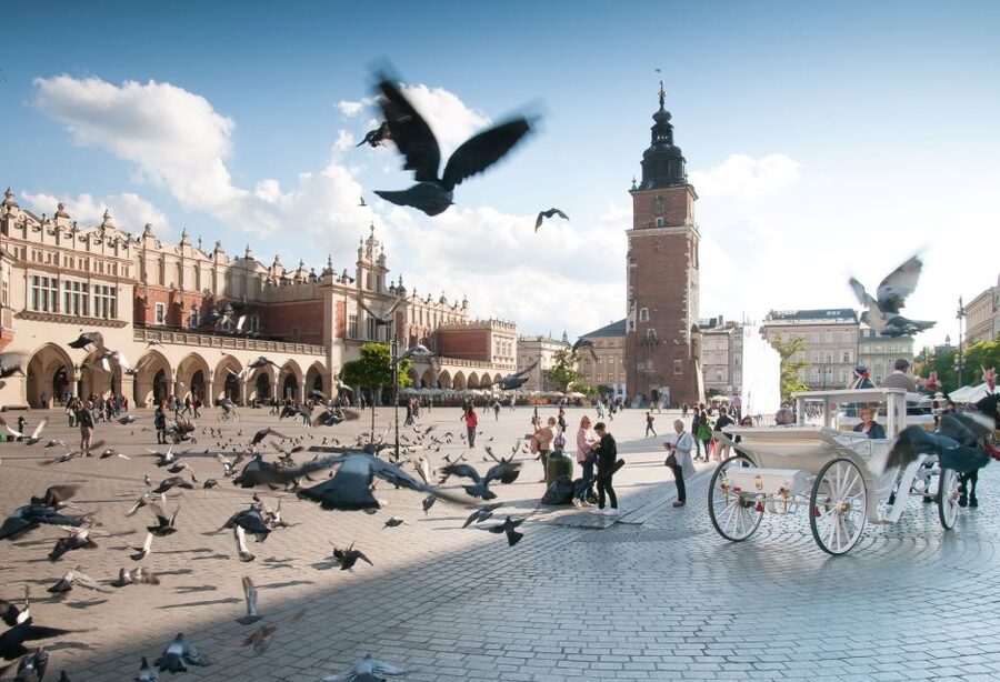 From Katowice: Krakow Old Town Private Guided Day Trip - Florianska Street and the first look at old Krakow
