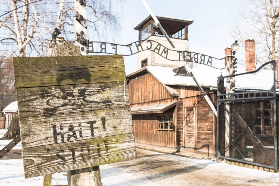From Krakow: Auschwitz and Wieliczka Salt Mine Full-Day Trip - The break between the camps and the salt mine