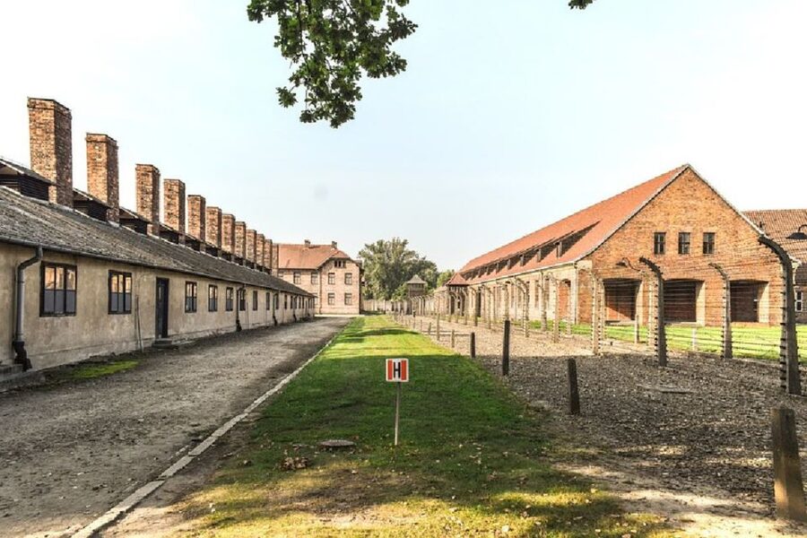 From Krakow: Auschwitz Birkenau and Salt Mine Guided Tour - Key things to know before booking