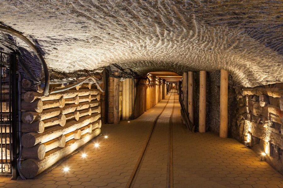 From Krakow: Auschwitz Birkenau and Salt Mine Guided Tour - Who should choose this tour?