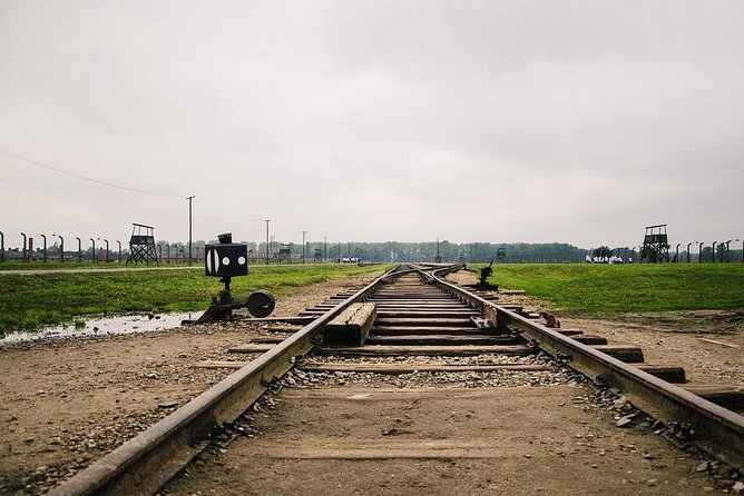 From Krakow: Auschwitz-Birkenau and Salt Mine with Private Transfer - Who will appreciate this tour most