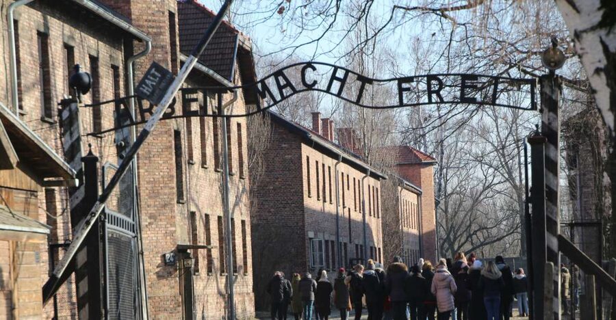 From Krakow: Auschwitz-Birkenau and Self-Guided Day Tour - Key points to know before booking