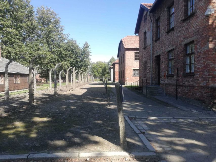 From Krakow: Auschwitz-Birkenau and Self-Guided Day Tour - Self-guided touring: freedom with responsibility