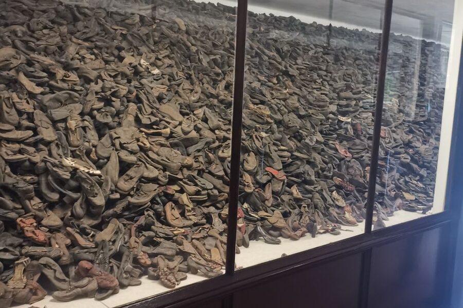 From Krakow: Auschwitz-Birkenau Camp Complex Guided Day Trip - Key points to know before you book