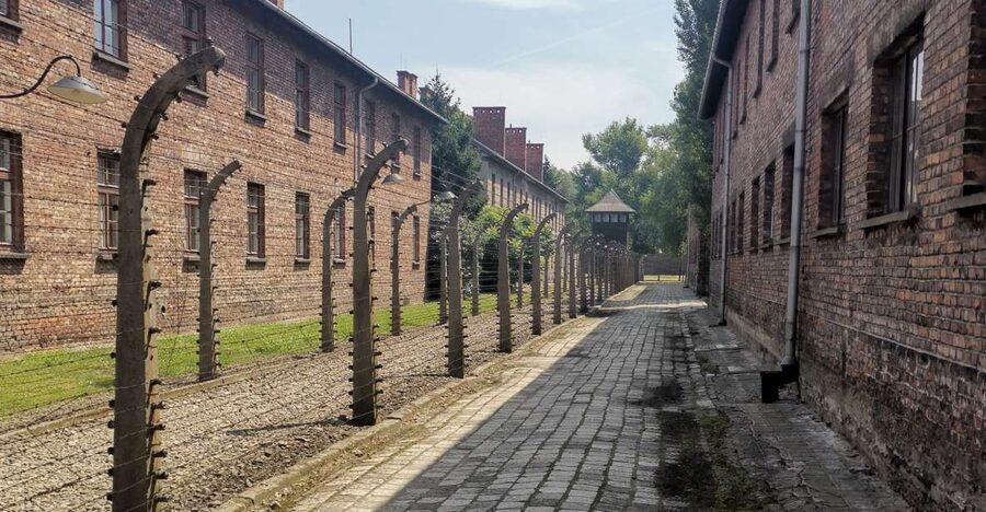 From Krakow: Auschwitz-Birkenau Camp Complex Guided Day Trip - Why this day trip matters