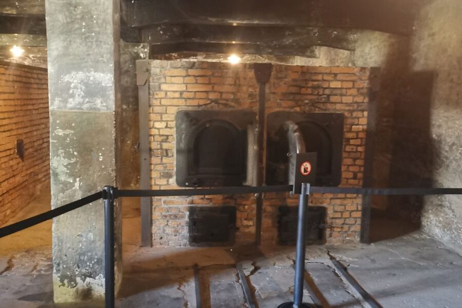 From Krakow: Auschwitz-Birkenau Camp Complex Guided Day Trip - What the prisoner blocks reveal