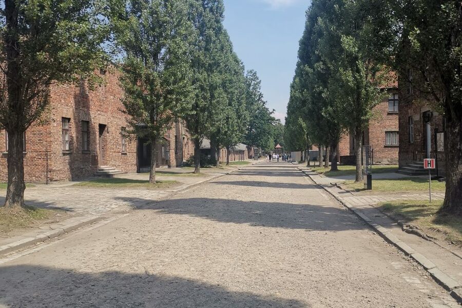 From Krakow: Auschwitz-Birkenau Camp Complex Guided Day Trip - The short transfer to Birkenau