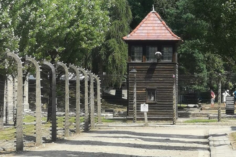 From Krakow: Auschwitz-Birkenau Camp Complex Guided Day Trip - The value of an Italian-speaking guide