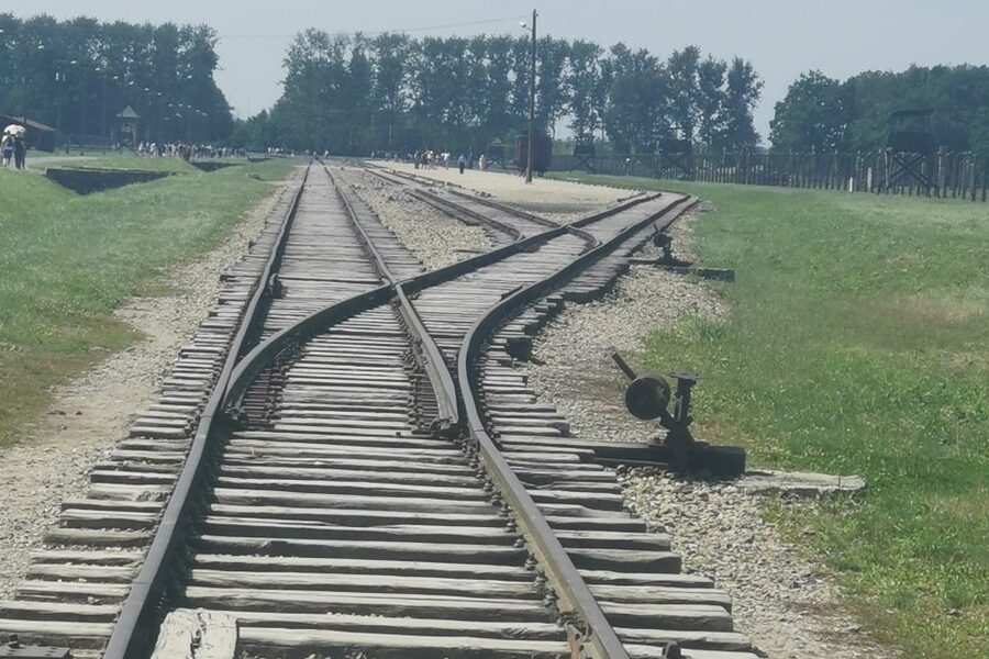 From Krakow: Auschwitz-Birkenau Camp Complex Guided Day Trip - Seven hours, transport, and the price