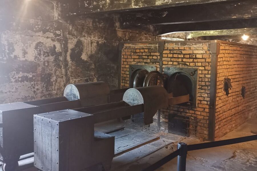 From Krakow: Auschwitz-Birkenau Camp Complex Guided Day Trip - What to bring and what to leave behind