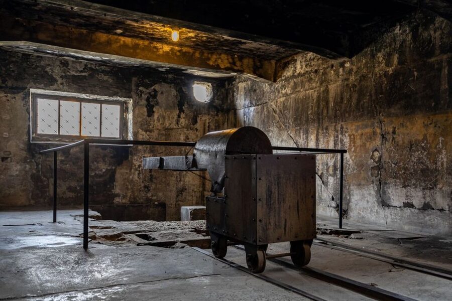 From Krakow: Auschwitz-Birkenau Full-Day Guided Tour - Who Will Appreciate This Tour Most