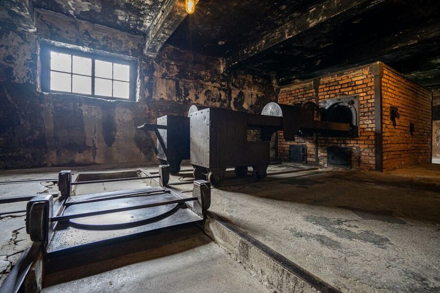 From Krakow: Auschwitz-Birkenau Full-Day Guided Tour - The 10-Minute Transfer to Birkenau