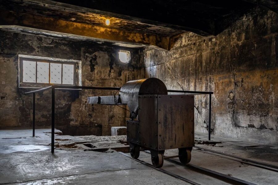 From Krakow: Auschwitz-Birkenau Full-Day Tour - Key details to know before booking